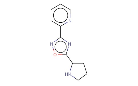 2-(5-PYRROLIDIN-2-YL-[1,2,4]OXADIAZOL-3-YL)-PYRIDINE